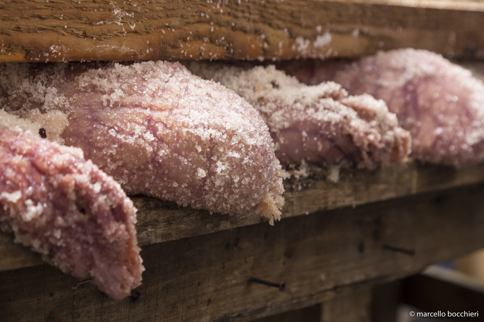 Non tutte le Uova diventano Bottarga